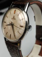 Lanco - date - Sans prix de réserve - Bf866 - Homme -