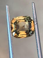 1 pcs Groen, Geel Alexandriet - 3.12 ct - International