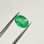 Sans prix de réserve - 1 pcs Vert Émeraude - 1.47 ct -