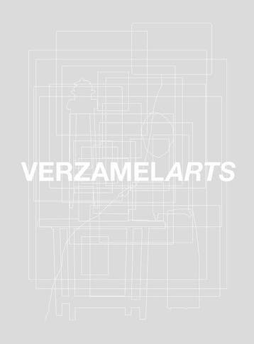 Verzamelarts | Nieuw, Boeken, Verzenden, Nieuw, Philippe Van Cauteren; Johan Van Tittelboom; Paul & Marie-Rose Declercq; Thibault Schauvliege; Carina Van Cauter; Alain Verleysen; Das Dingenen; Eric Obrie; Frans Penne; Guido De Bruyn; Ivo Moris; Jean-Jacques De Gucht