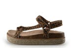 Poelman Espadrilles in maat 42 Bruin, Verzenden, Espadrilles