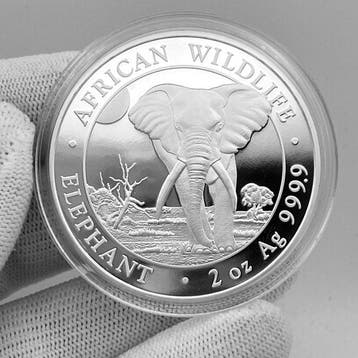 Somalië. 200 Schilling 2025 – 2 oz African Wildlife:
