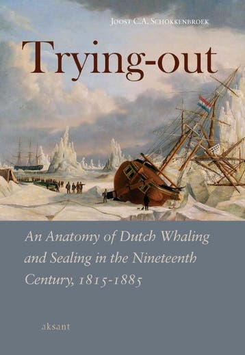 Trying-out 9789052602837 J.C.A. Schokkenbroek, Verzenden, Zo goed als nieuw, J.C.A. Schokkenbroek