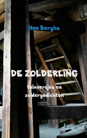 De zolderling 9789463420242 Han Berghs, Verzenden, Han Berghs