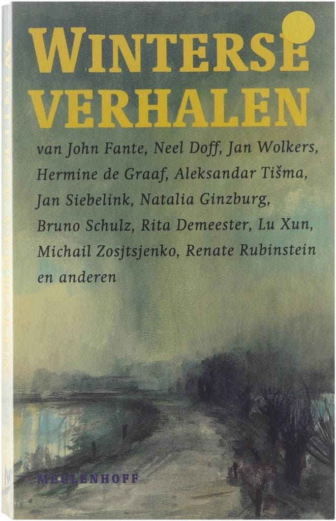 Winterse verhalen 9789029097598 Bruno Schulz, Livres, Littérature, Envoi