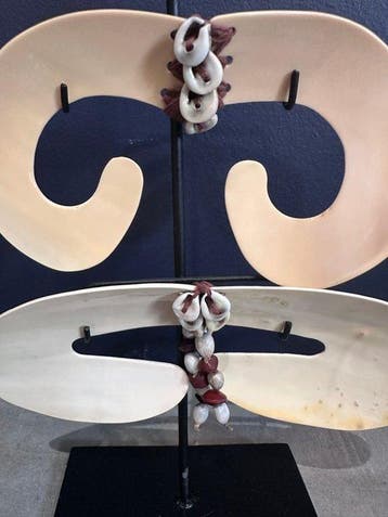 Ornement décoratif - Indonésie - “Septum Tusk”, Antiek en Kunst