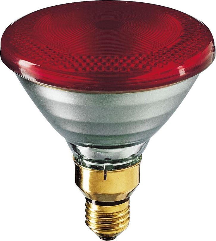 Ampoule infrarouge Philips avec réflecteur - 60053015, Bricolage & Construction, Éclairage de chantier, Envoi