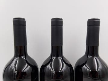 2003 Tenimenti D Alessandro, Il Bosco - Toscane - 3 Magnums, Nieuw