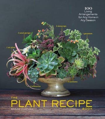 The Plant Recipe Book 9781579655518 Baylor Chapman, Verzenden, Baylor Chapman