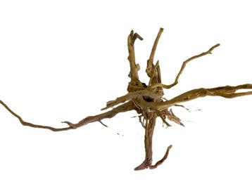 Driftwood Selected  DW55 - 52x30x22cm (Small drift wood), Ophalen of Verzenden, Nieuw, Plant(en), Steen of Hout