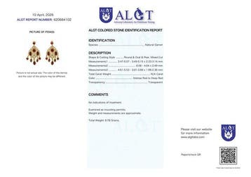 Zonder minimumprijs - Oorbellen Zilver - Garnet -, Nieuw