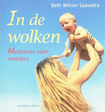 In de wolken 9789069638126 B. Wilson Saavedra, Verzenden, B. Wilson Saavedra