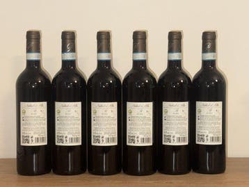 2020 Pelassa, Sot Pelassa Nebbiolo dAlba - Piëmont DOC - 6, Nieuw