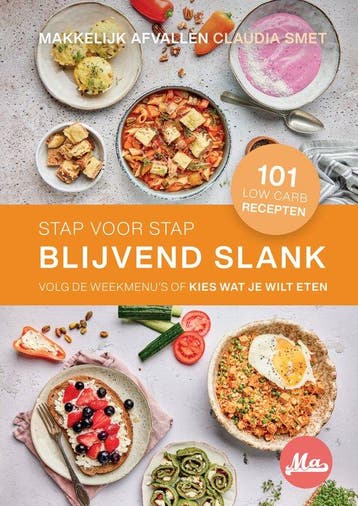 Stap Voor Stap Blijvend Slank || NIEUW van Makkelijk, Verzenden, Gelezen, Kim Findhammer