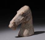 China Paardenkop - 15.5 cm