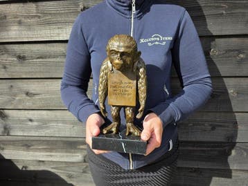 Statue, Laugh Now Monkey - After Banksy - 27 cm - Bronze,