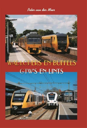 Wadlopers en buffels 9789060133460 Peter van der Meer, Verzenden, Peter van der Meer