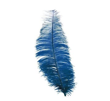 Blauwe Struisvogelveren 30cm 12st, Verzenden, Nieuw