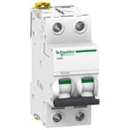 Disjoncteur Schneider Electric - A9F75220, Verzenden, Nieuw
