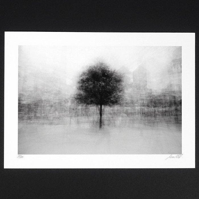 Frank Machalowski - stadtbaum#60, Antiek en Kunst, Kunst | Designobjecten