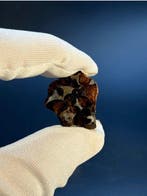Météorite de Sericho Pallasites - 12 g - (1)