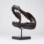 sculptuur, Finest detail, bronze-cast Mako Shark Jaws -