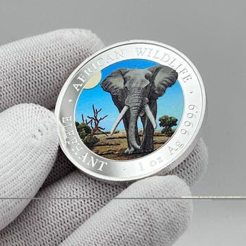 Somalië. 100 Shilling 2025 – African Wildlife Series –