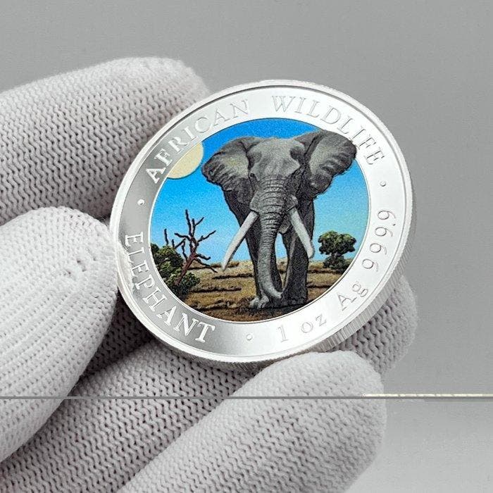 Somalië. 100 Shilling 2025 – African Wildlife Series –, Postzegels en Munten, Munten | Europa | Niet-Euromunten