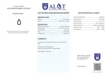 Geen veilingreserve - ALGT-gecertificeerd - Zeer exclusieve