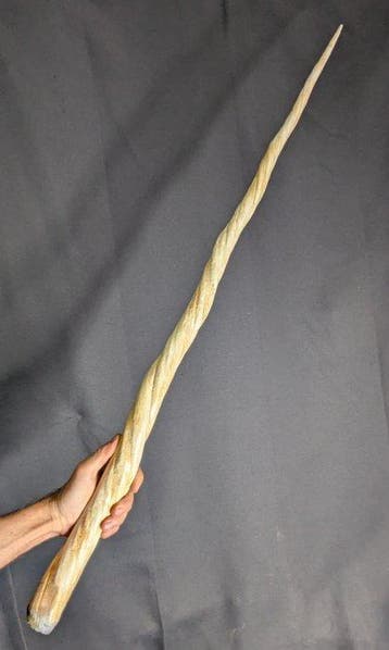 narwal Tand - REPLICA-Monodon monoceros - Museum Grade
