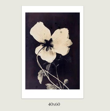 Jorge Omeñaca (1981) - Flowering II