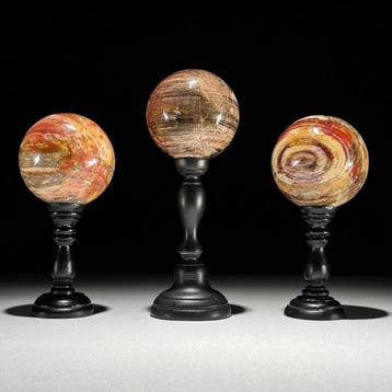 Prachtige set van 3 zeldzame rode versteende houten bollen