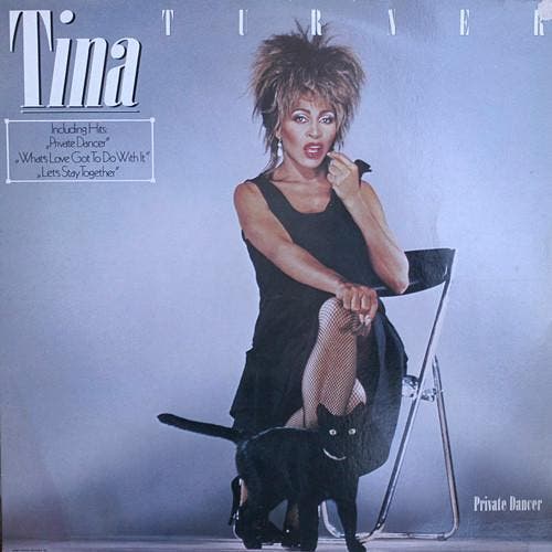 Tina Turner - Private Dancer, Cd's en Dvd's, Vinyl | Pop, Gebruikt, Verzenden