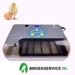 ACTIE - Slimme broedmachine met GRATIS broedeieren naar keuz, Animaux & Accessoires, Volatiles | Accessoires, Envoi