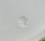 Bord - Edo Period Arita Imari Plate – Phoenix & Floral