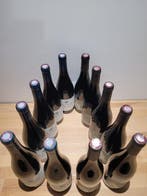 2020 Chateau Maris Minervois lAutan & 2021 Chateau Montana, Verzamelen, Wijnen, Nieuw