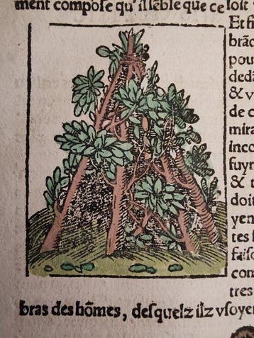 Sebastian Münster (1489–1552) - Cosmographie Universelle -