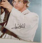 Star Wars - Mark Hamill (Luke Skywalker) - Signed 11x14, Nieuw