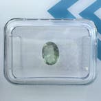 Zonder minimumprijs - 1 pcs Groen, Paars, Bruin Alexandriet, Nieuw