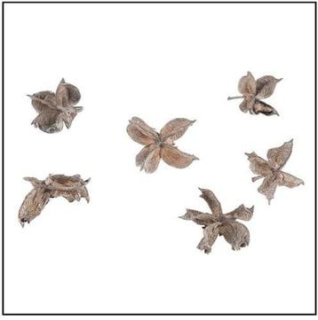 Cotton pods Katoenpods Taupe Wash 150 gram, Nieuw