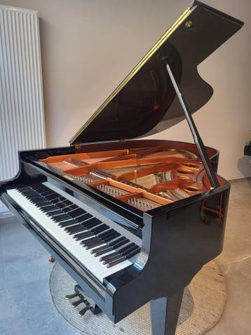 Bösendorfer 170 vleugelpiano, Musique & Instruments, Pianos, Vleugel