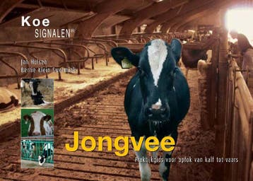 Jongvee / Koesignalen 9789075280661 B. Klein Swormink, Verzenden, Gelezen, B. Klein Swormink