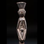 Piquet - Chamba - Nigeria