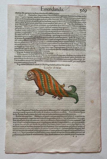 World - Zeemonster naar Olaus Magnus; Conrad Gesner -, Nieuw