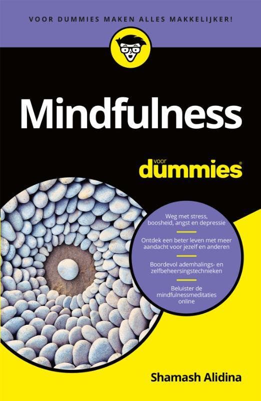 Mindfulness voor Dummies / Voor Dummies 9789045355573, Livres, Psychologie, Envoi