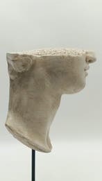 Sculpture, Volto di Alessandro Magno - 37 cm - poussière de