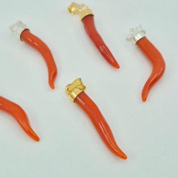 Corail Corail - CORALLIUM RUBRUM (Sans prix de réserve)