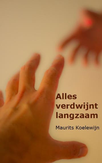 Alles verdwijnt langzaam 9789081994606 Maurits Koelewijn, Verzenden, Maurits Koelewijn