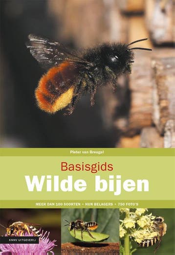Basisgids Wilde Bijen | Pieter Breugel | Nieuw, Verzenden, Nieuw, Pieter Breugel