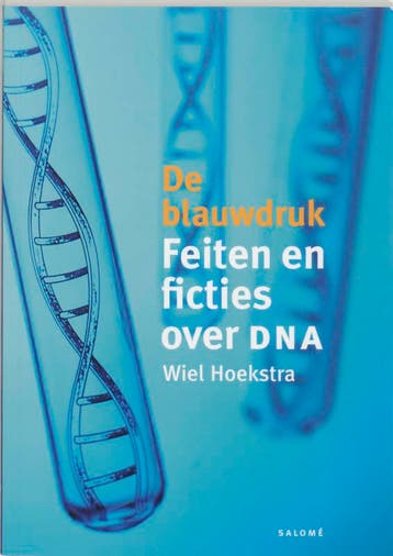 De blauwdruk 9789053566916 W. Hoekstra, Verzenden, W. Hoekstra